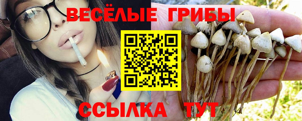 Псилоцибиновые грибы ЛСД  Вход с VPN  Балашиха  Псилоцибиновые грибы мухоморы 