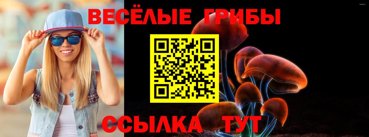 Псилоцибиновые грибы ЛСД Балашиха